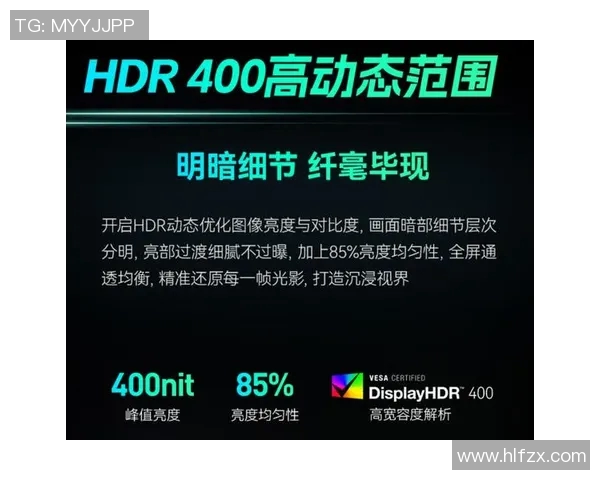 提升游戏体验的CSGO显示器选购指南推荐最佳型号与性能分析