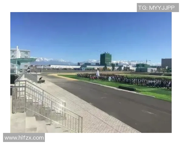 羽毛球赛场上的追梦旅程：陈芳的奋斗与成长故事