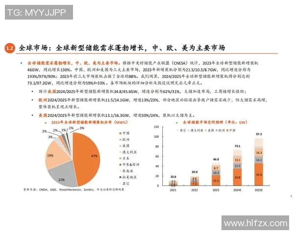 加维的崛起与未来发展:探索新兴市场中的机遇与挑战 加维的崛起与未来发展:探索新兴市场中的机遇与挑战