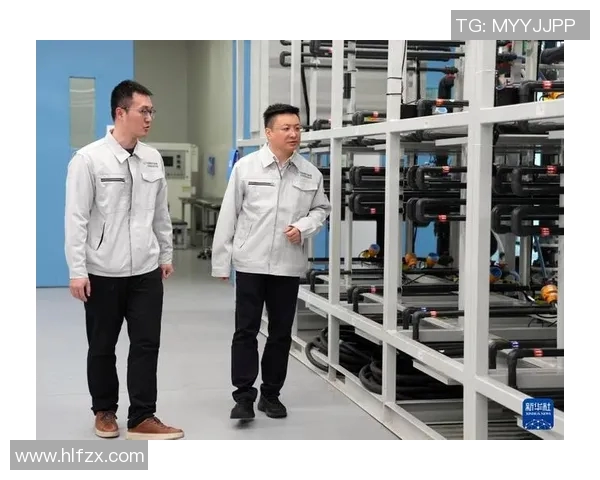 张帆的成长之路：从普通学生到行业领军人物的奋斗故事